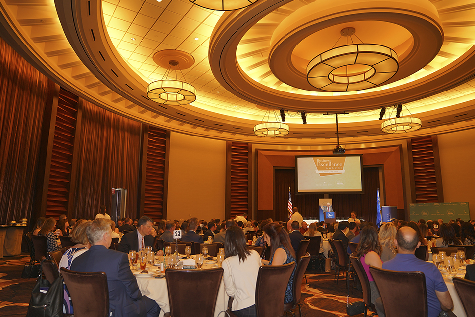 BizExcellenceAward1