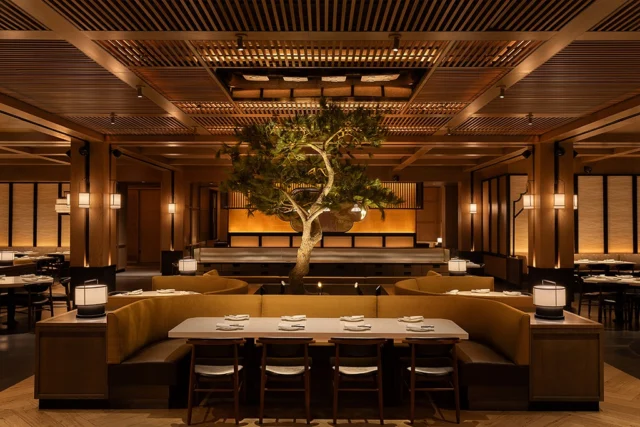 A world-class dining experience starts long before the first guest walks through the door.

We're proud to have completed a tenant improvement for @dintaifungusa at @scottsdalefashionsquare, delivering a sophisticated restaurant environment built for both exceptional guest experiences and high-volume operations.

From a fully integrated commercial kitchen to premium architectural finishes, every detail was executed with precision to bring this globally recognized brand to life.

📍@scottsdalefashionsquare
🎨 @rockwellgroup
🚧 @pwiconstruction 
📷 @kevinbrost
.
.
.
.
.
#PWIConstruction #DinTaiFung #RestaurantConstruction #TenantImprovement #CommercialConstruction #RetailConstruction #Scottsdale #ArizonaConstruction #Construction #pwiproject #arizonarestaurantassociation #arizonaconstruction #scottsdaleaz #interiordesign #interiors #restaurantdesigner #restaurant #restaurantdesign #dintaifung